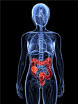 colon-image